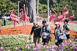 BIB: 
                            <button type="button" onclick="openModal(27793661)" class="btn btn-primary btn-sm float-right btn-popup" data-toggle="modal" data-target=".modal-high-quality">
                        <i class="fas fa-shopping-cart"></i> Add to Cart
                    </button>
                                            <button type="button" onclick="isThisMe(27793661, true)" class="btn btn-success btn-sm float-right btn-popup btn-isme hidden" data-toggle="tooltip" data-placement="bottom" title="นี่คือรูปของคุณใช่ไหม คลิกที่นี่เพื่อเอาเข้าอัลบั้ม">
                        <i class="fas fa-plus"></i> Add to album
                    </button>
                    <button type="button" onclick="isThisMe(27793661, false)" class="btn btn-warning btn-sm float-right btn-popup btn-isnotme hidden">
                        <i class="fas fa-ban"></i> Remove from album
                    </button>